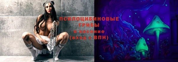 стаф Алзамай