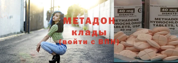 стаф Алзамай