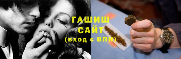 стаф Алзамай