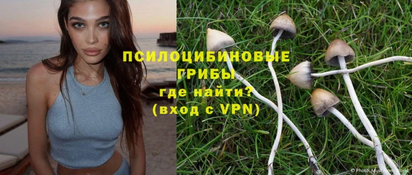 стаф Алзамай
