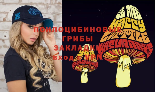 дурь Алексин