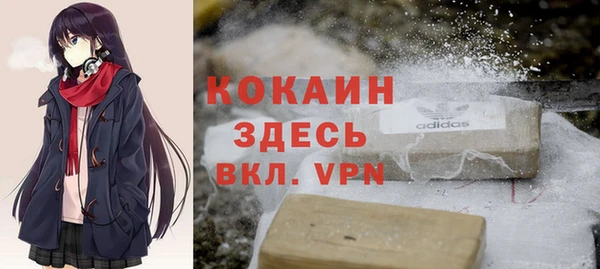 стаф Алзамай